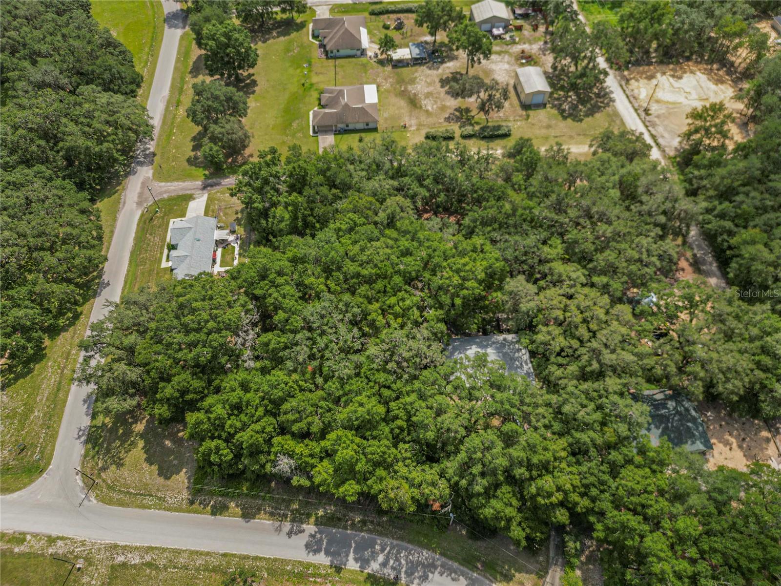 Image 5 of 21 For Tbd Sw 134 Ter