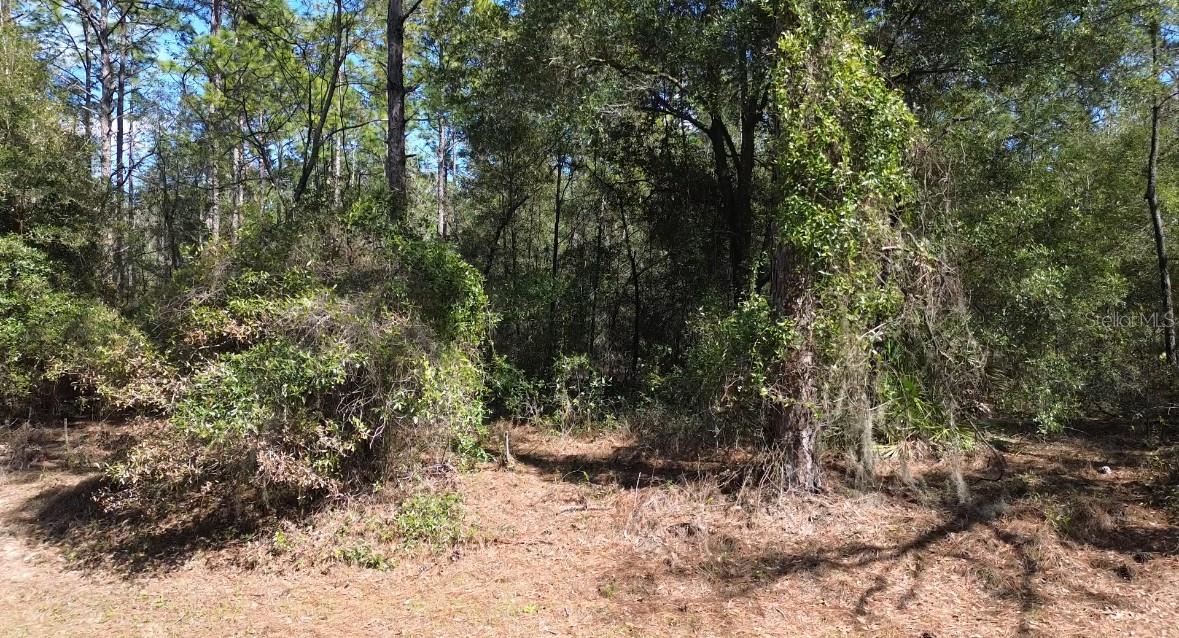 Details for  129 Terrace , OCALA, FL 34481