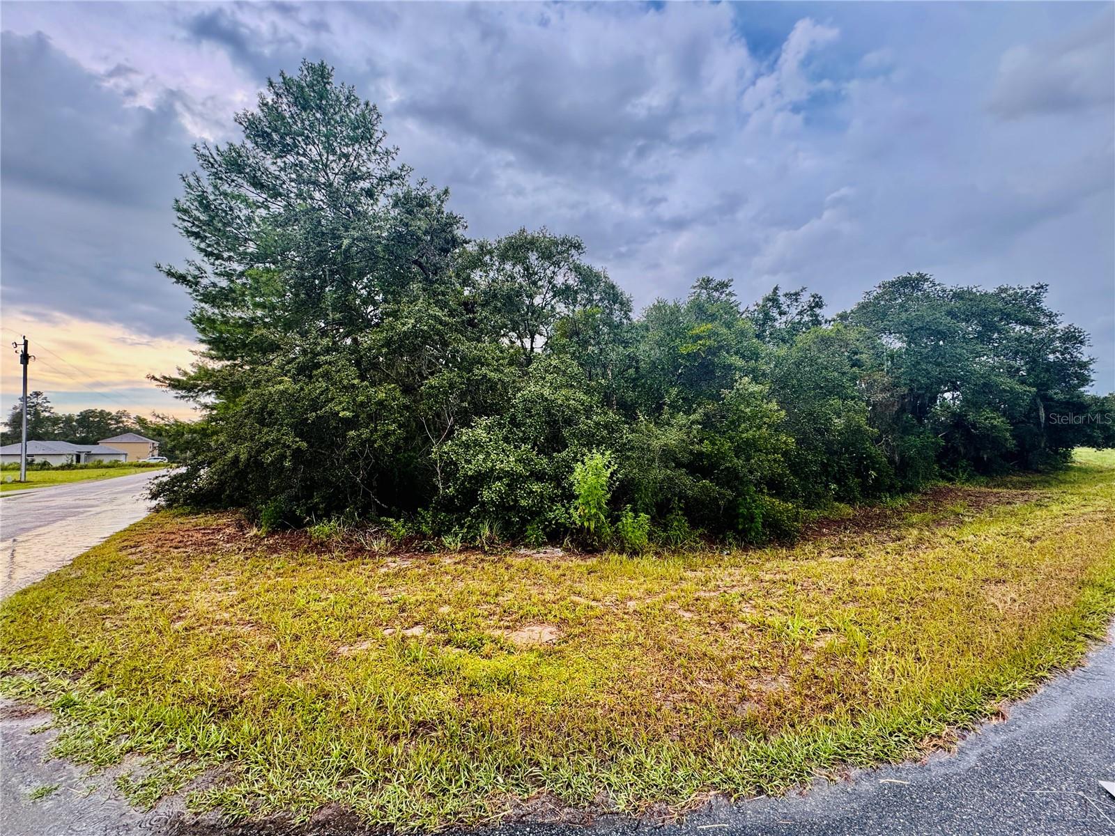 Details for Tbd 111th Pl, OCALA, FL 34476