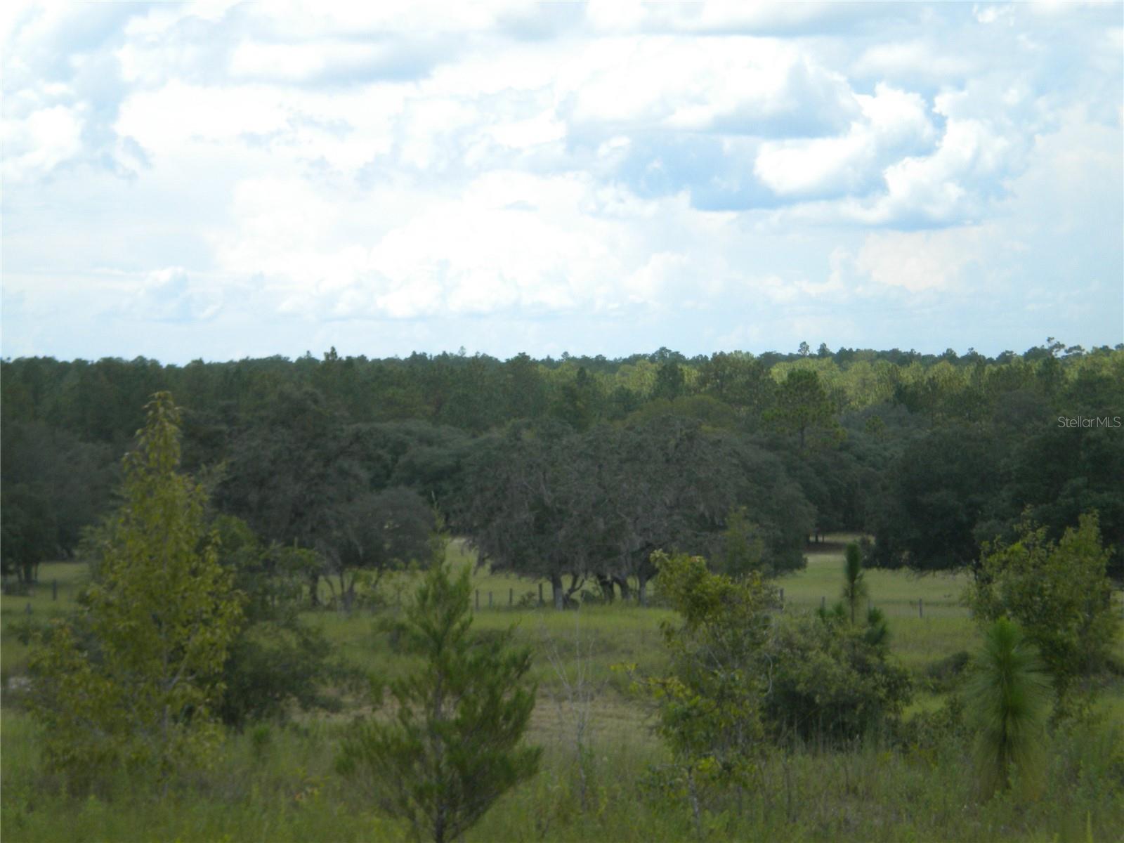 Image 11 of 31 For Lot14 136 Th Terrace