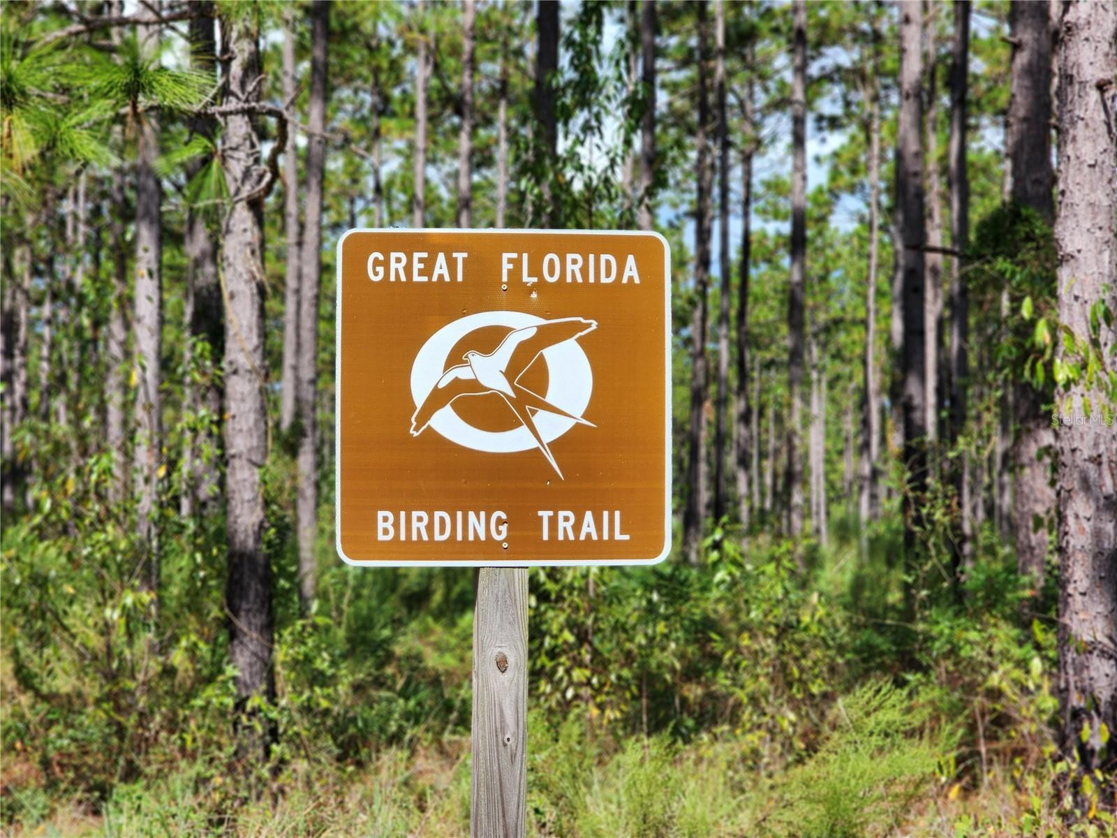 Image 24 of 31 For Lot14 136 Th Terrace