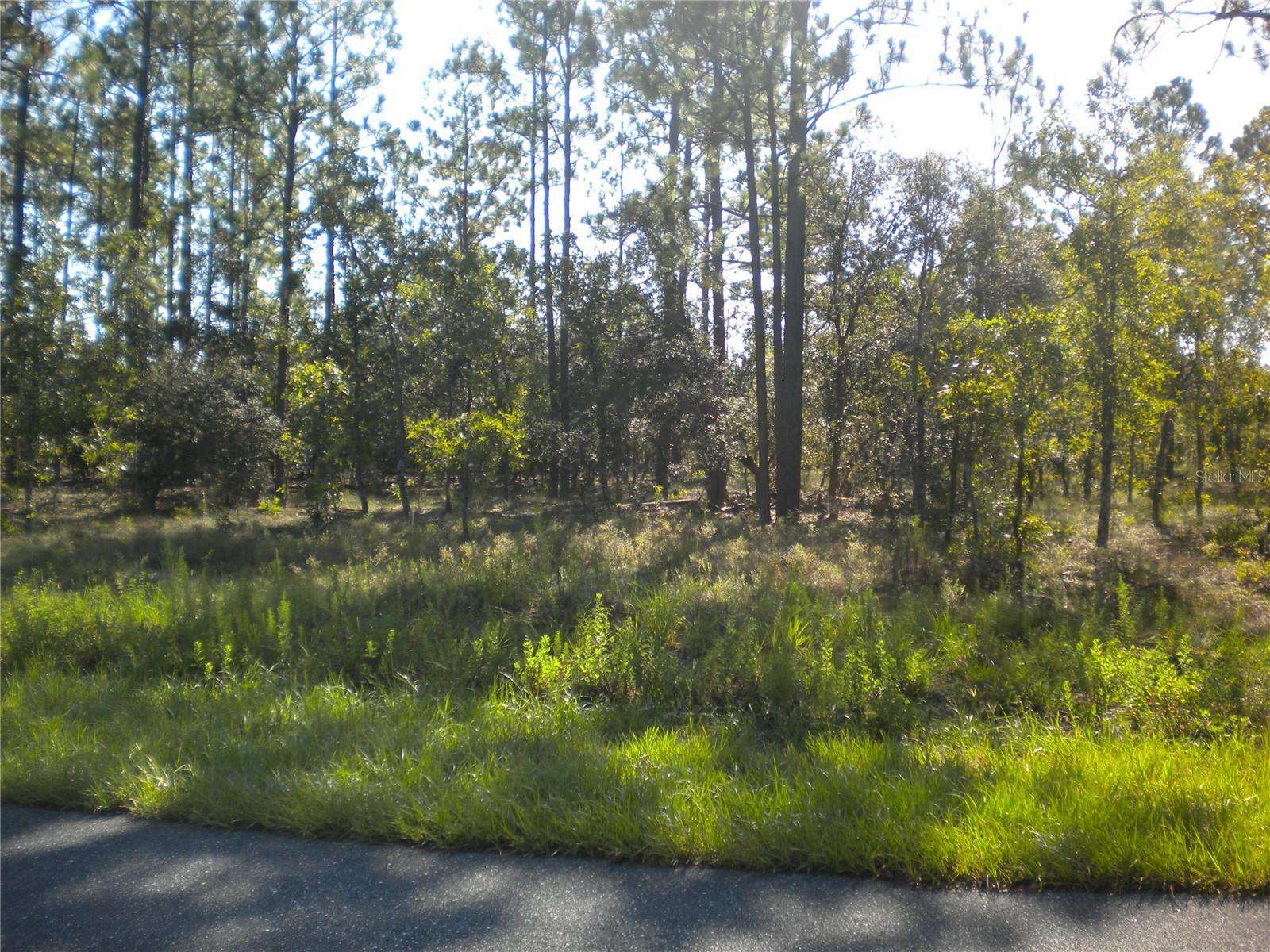 Image 4 of 31 For Lot14 136 Th Terrace