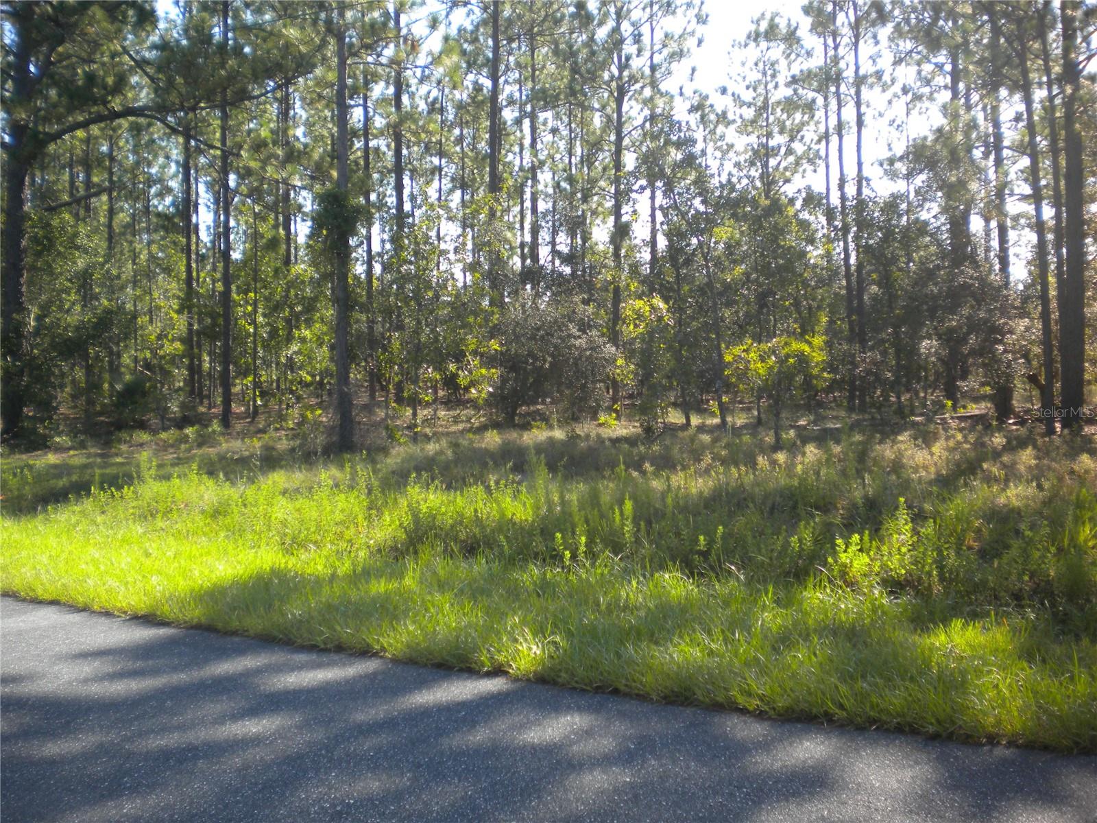 Image 5 of 31 For Lot14 136 Th Terrace