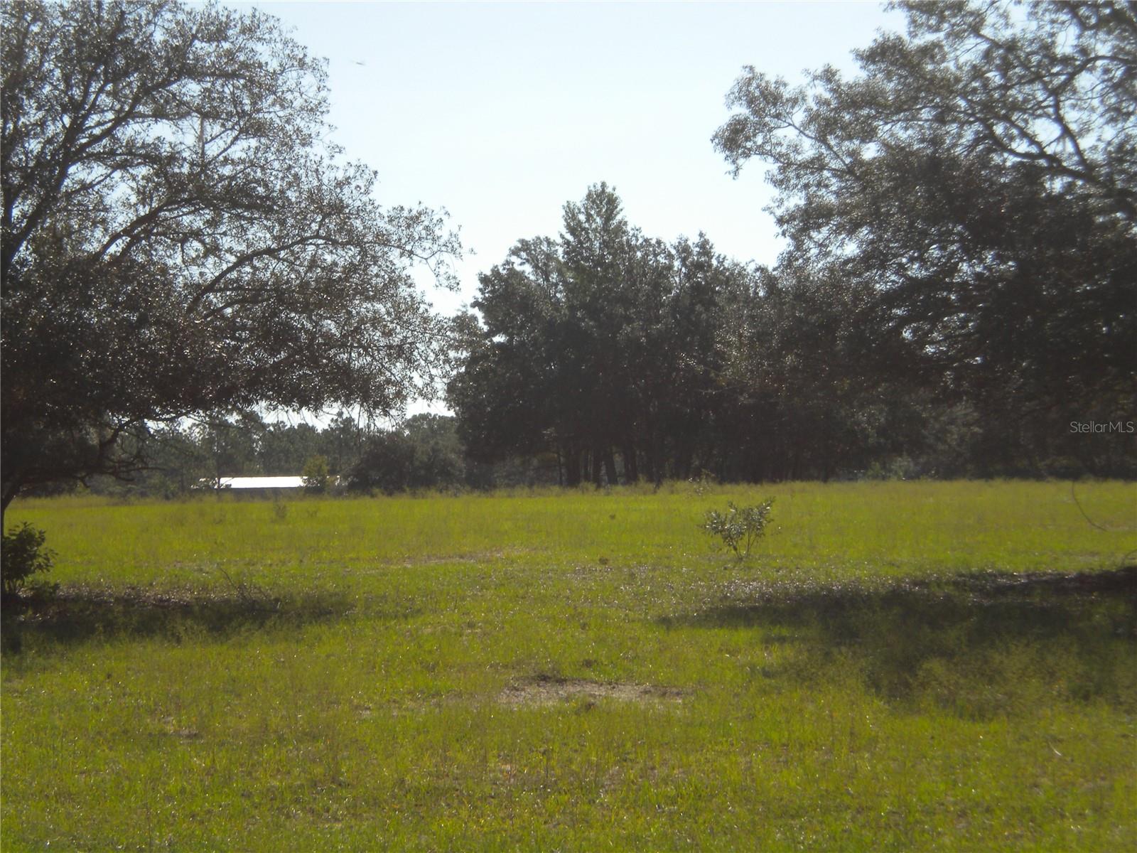 Image 8 of 31 For Lot14 136 Th Terrace