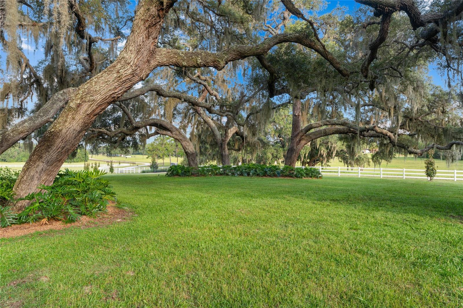 Image 4 of 86 For 21679 106th Lane Road
