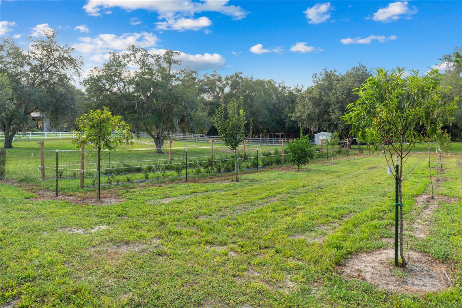 Image 54 of 86 For 21679 106th Lane Road