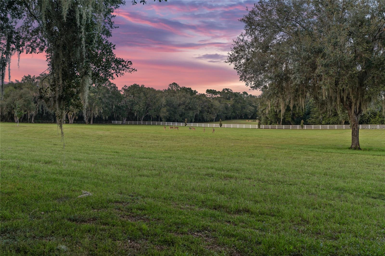 Image 56 of 86 For 21679 106th Lane Road