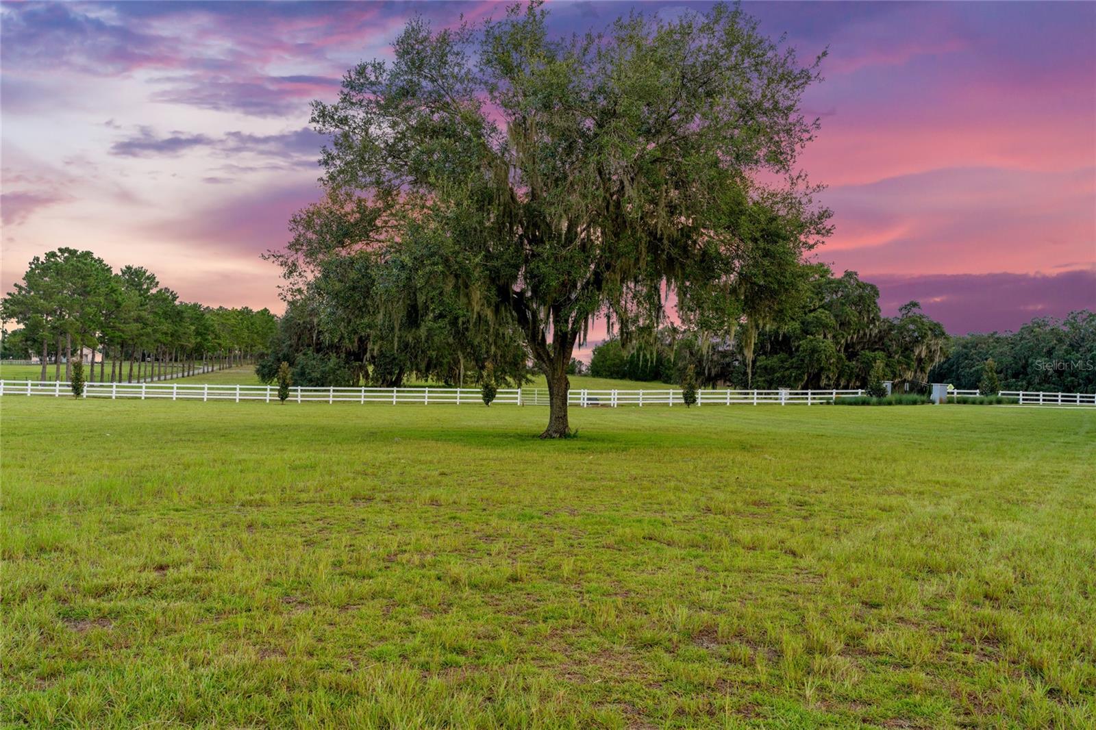 Image 67 of 86 For 21679 106th Lane Road