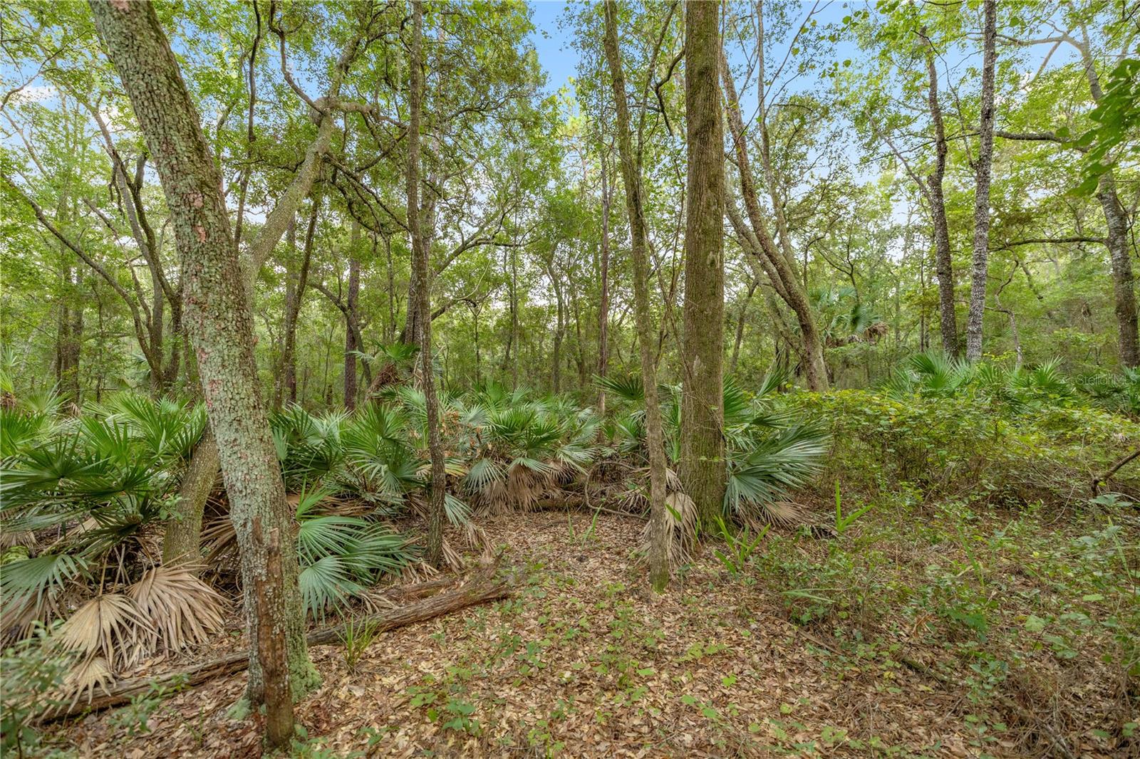 Image 10 of 12 For 970 County Road 21