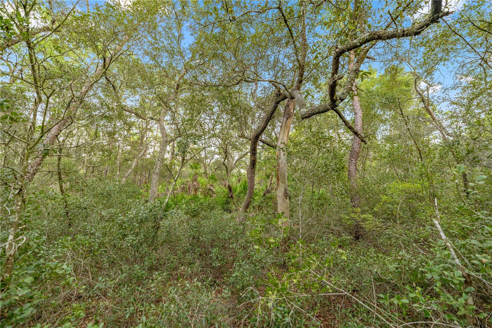 Image 11 of 12 For 970 County Road 21
