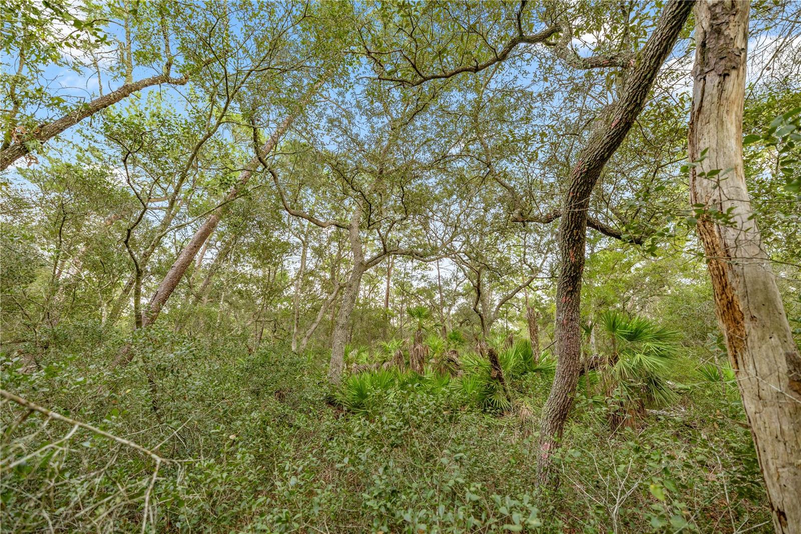 Image 12 of 12 For 970 County Road 21