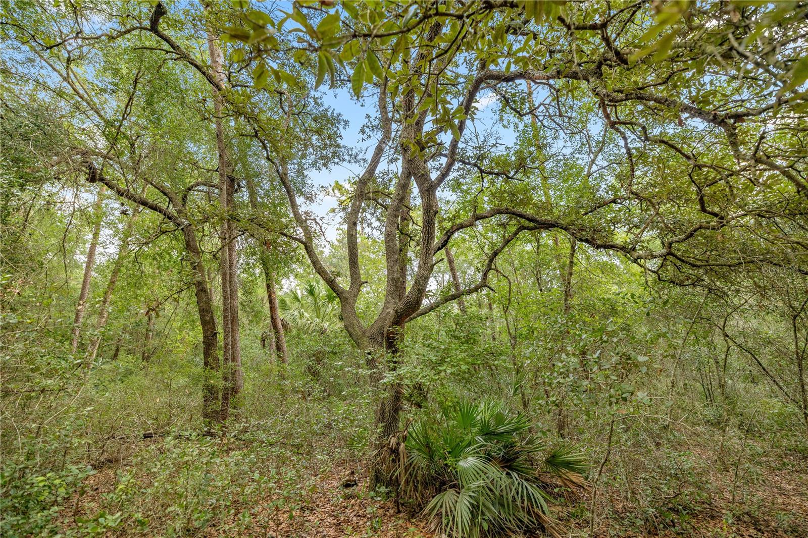 Image 2 of 12 For 970 County Road 21