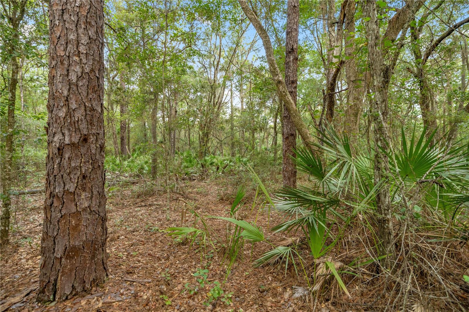 Image 7 of 12 For 970 County Road 21