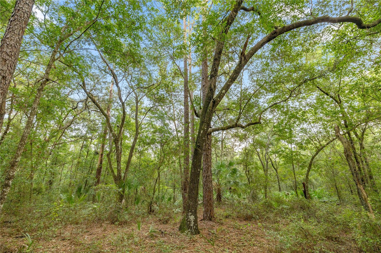 Image 8 of 12 For 970 County Road 21