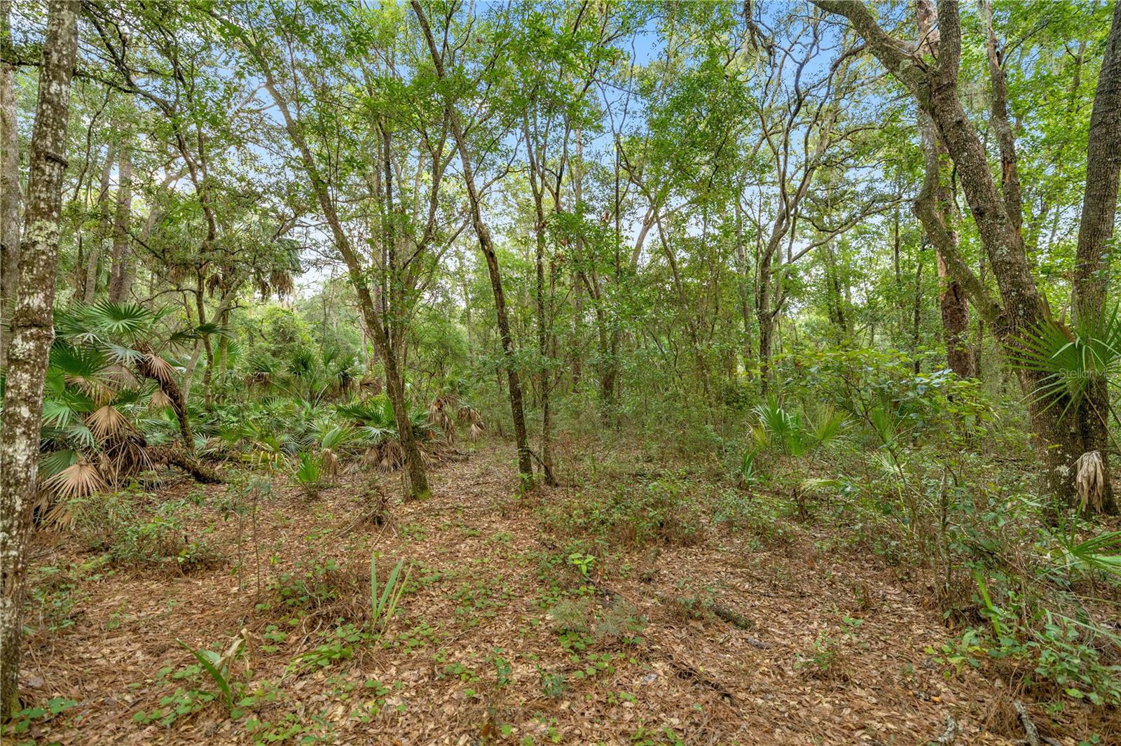 Image 9 of 12 For 970 County Road 21