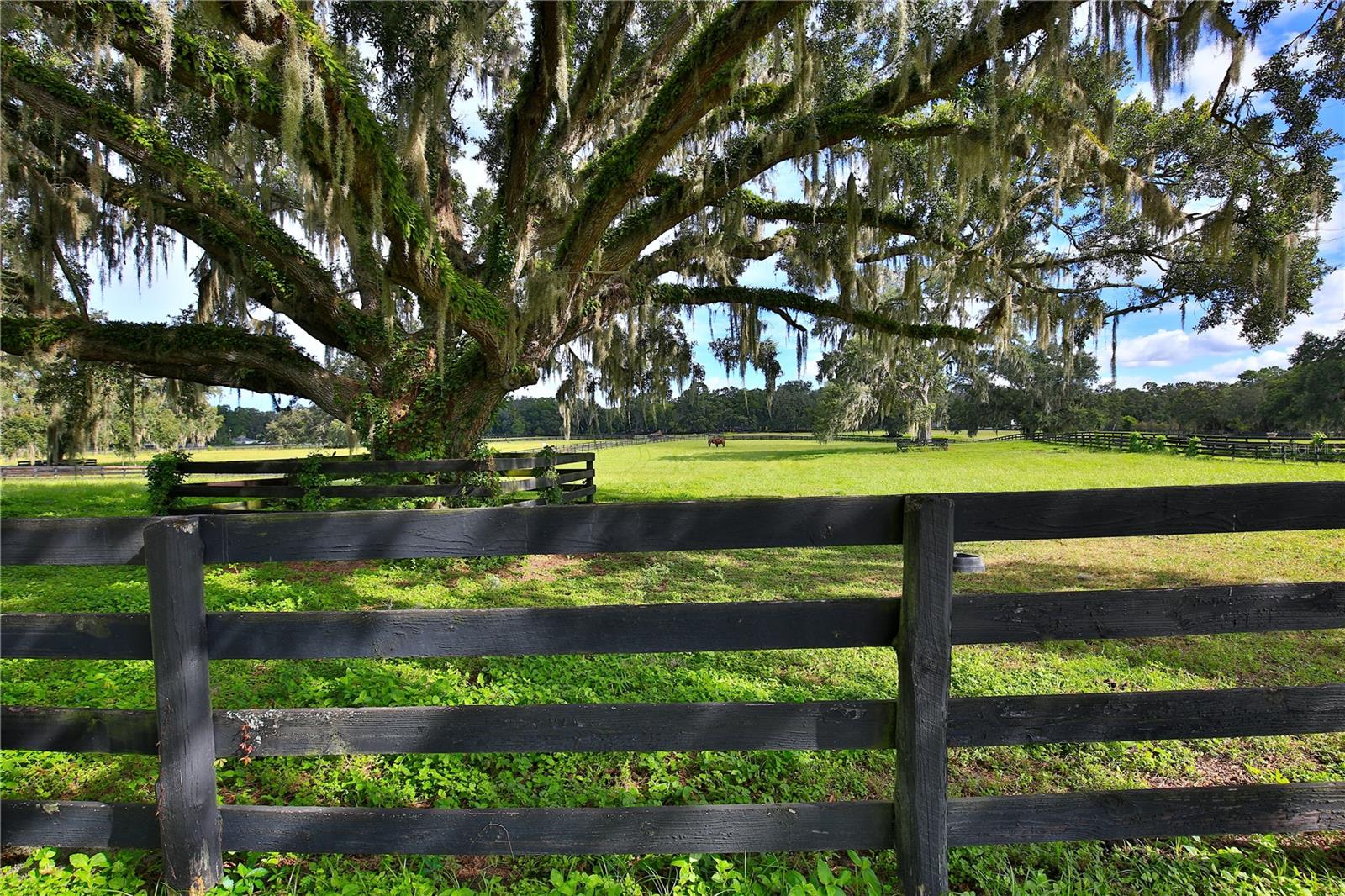 Image 13 of 42 For 6520 Hwy 326