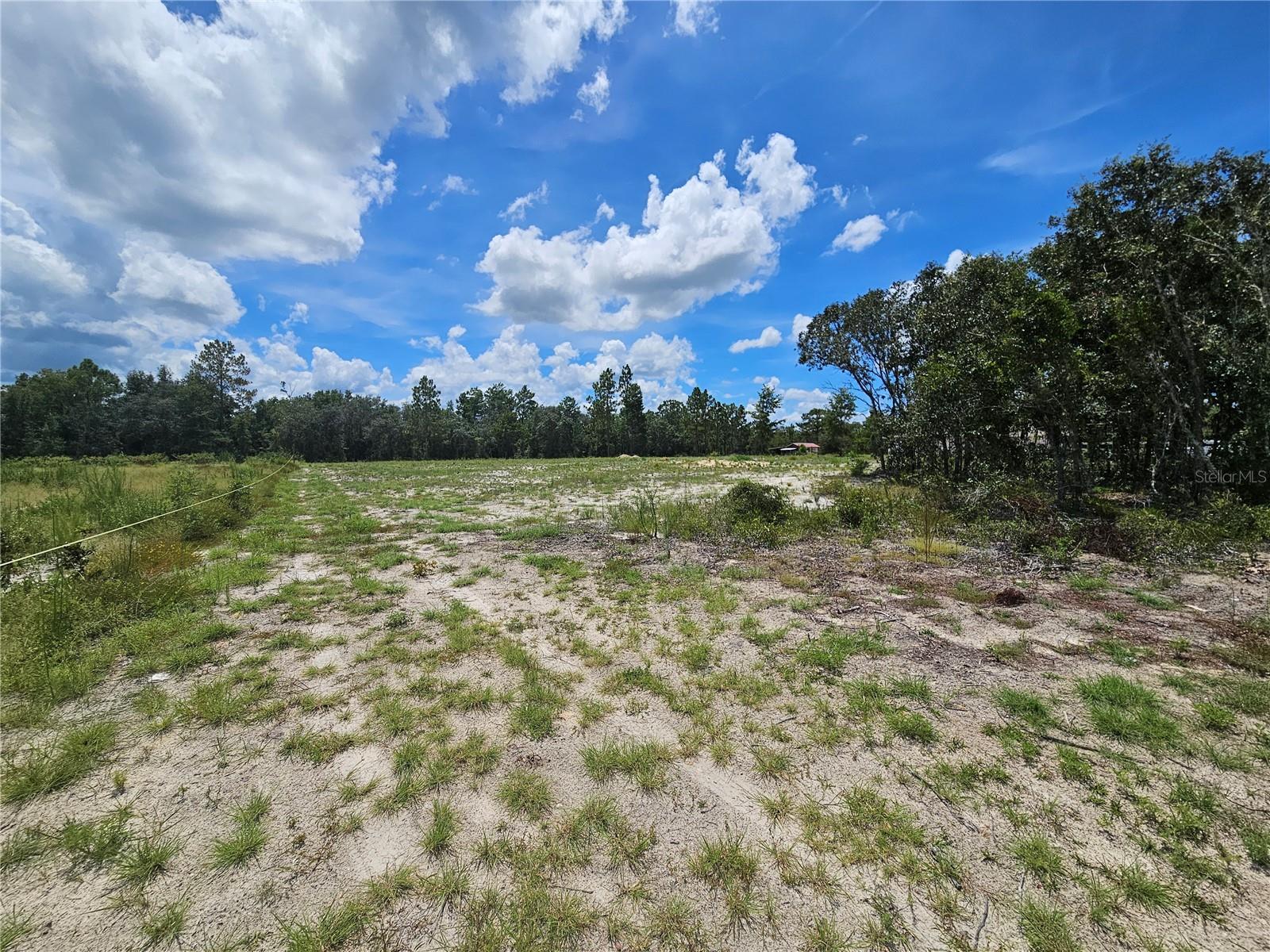 Details for 10290 58th Lane, BRONSON, FL 32621