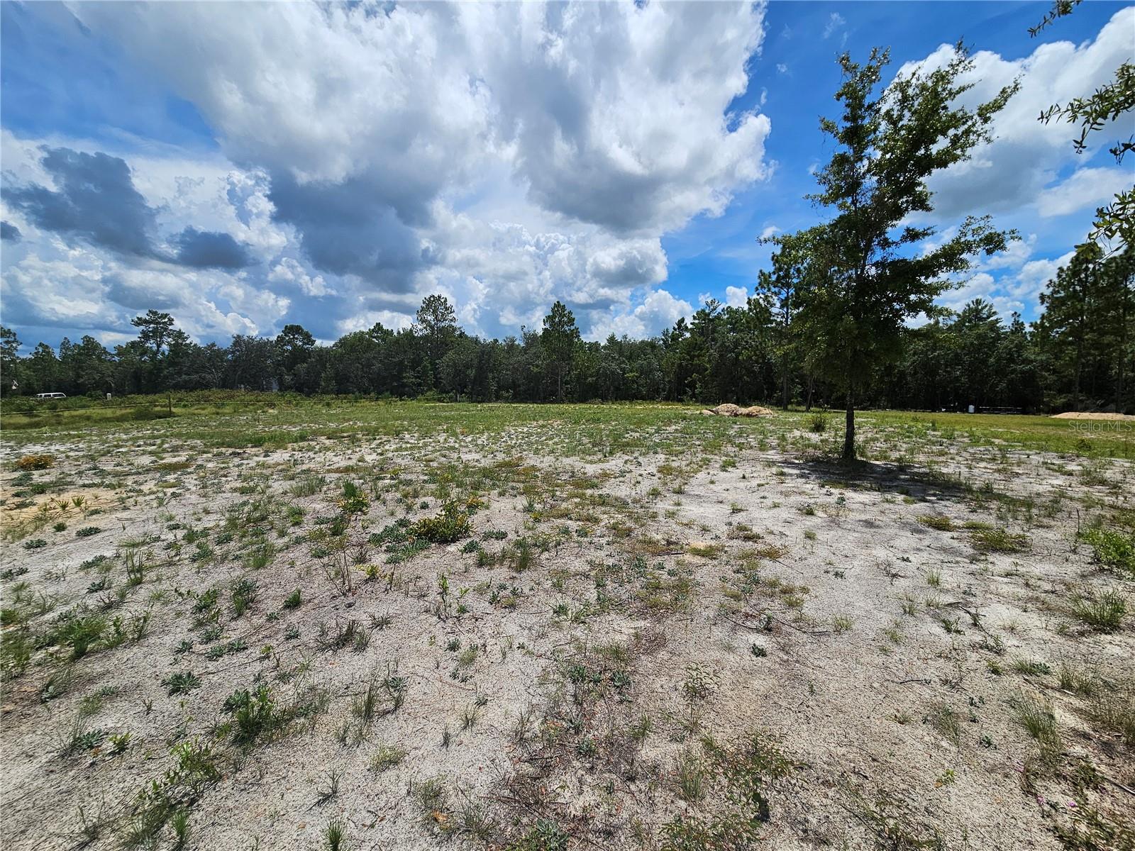 Image 6 of 8 For 10290 58th Lane
