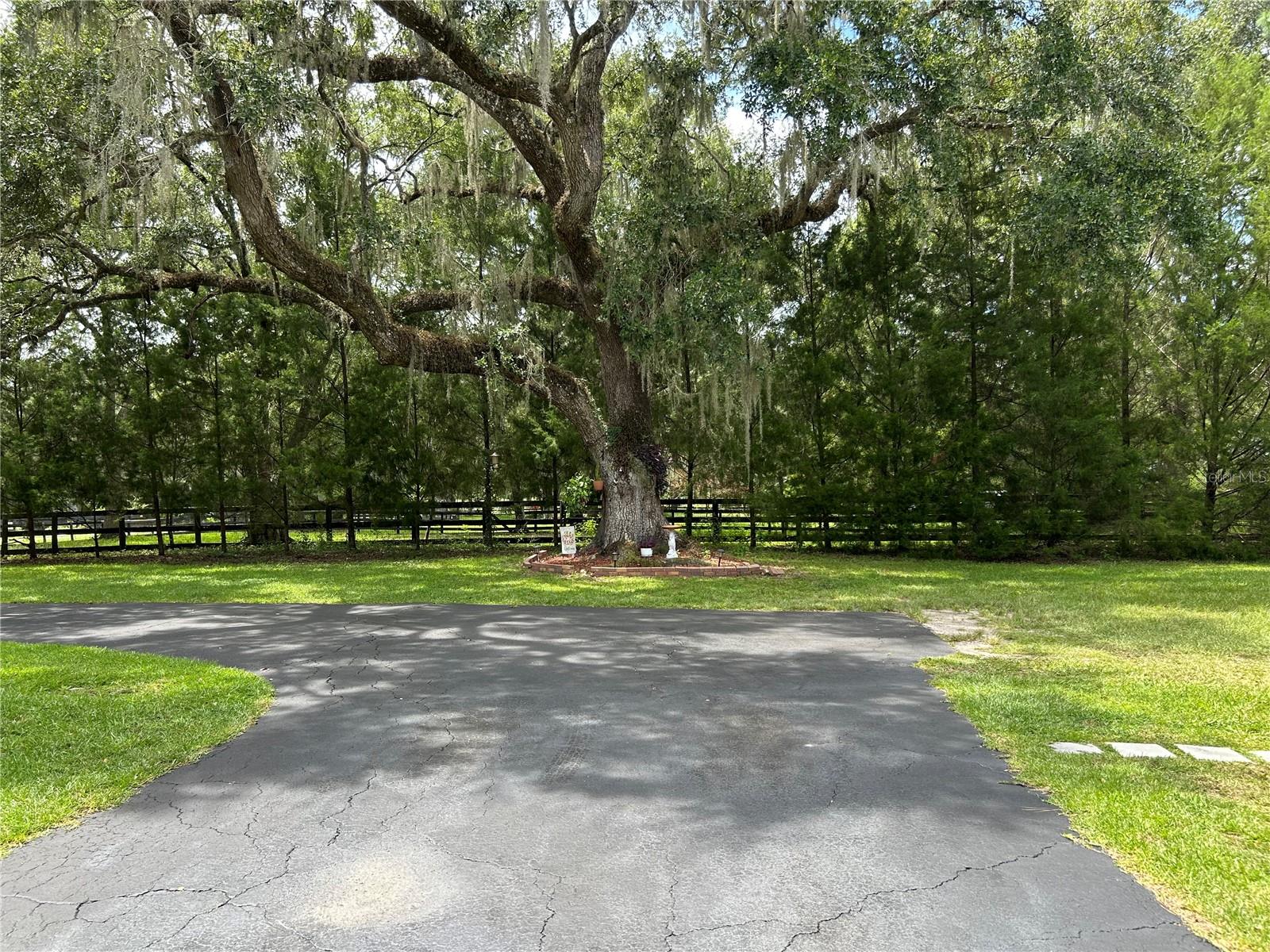 Image 4 of 72 For 12125 100th Street