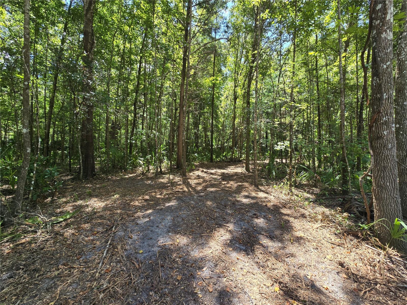 Image 15 of 46 For 2452 Junglecamp Road