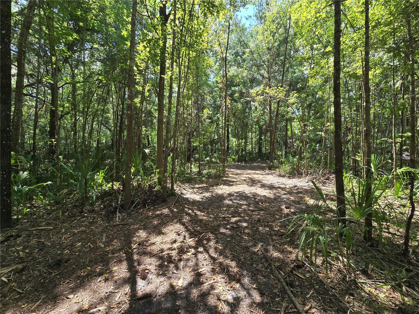 Image 16 of 46 For 2452 Junglecamp Road