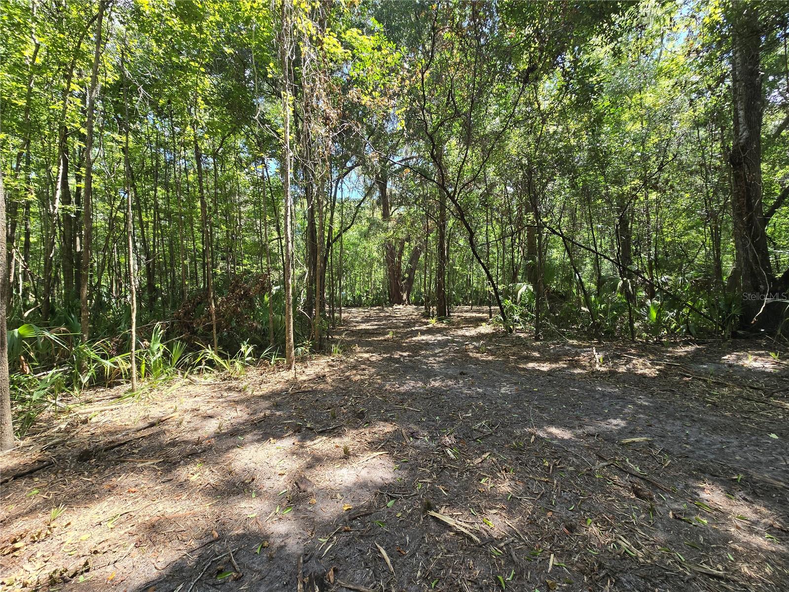 Image 17 of 46 For 2452 Junglecamp Road