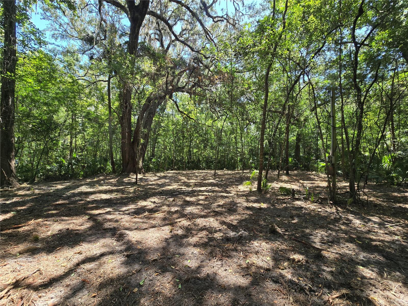 Image 18 of 46 For 2452 Junglecamp Road
