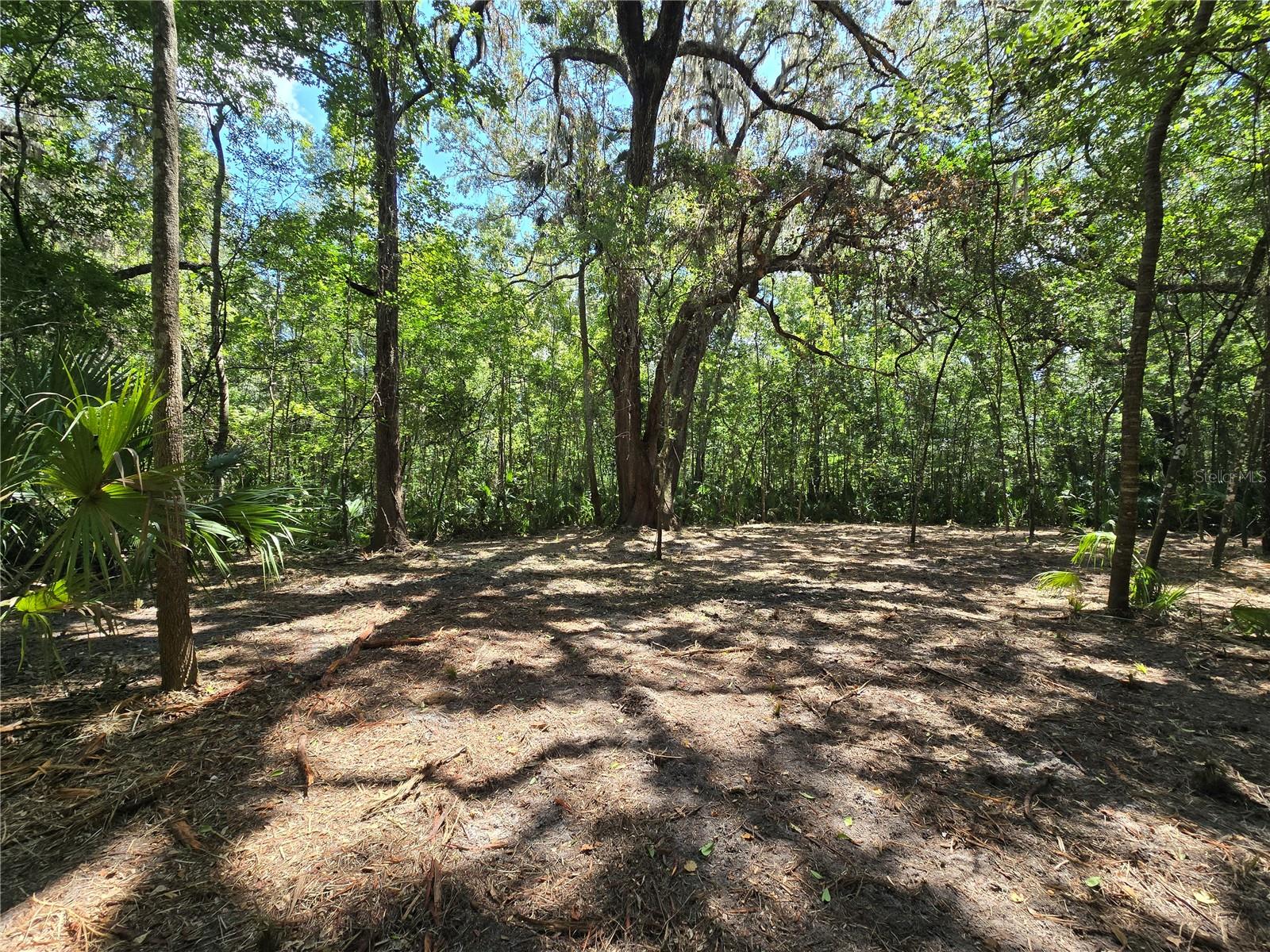 Image 19 of 46 For 2452 Junglecamp Road
