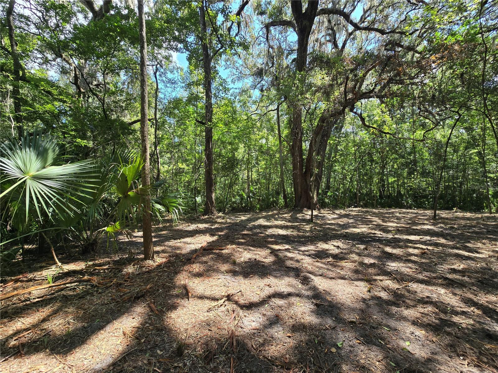 Image 20 of 46 For 2452 Junglecamp Road