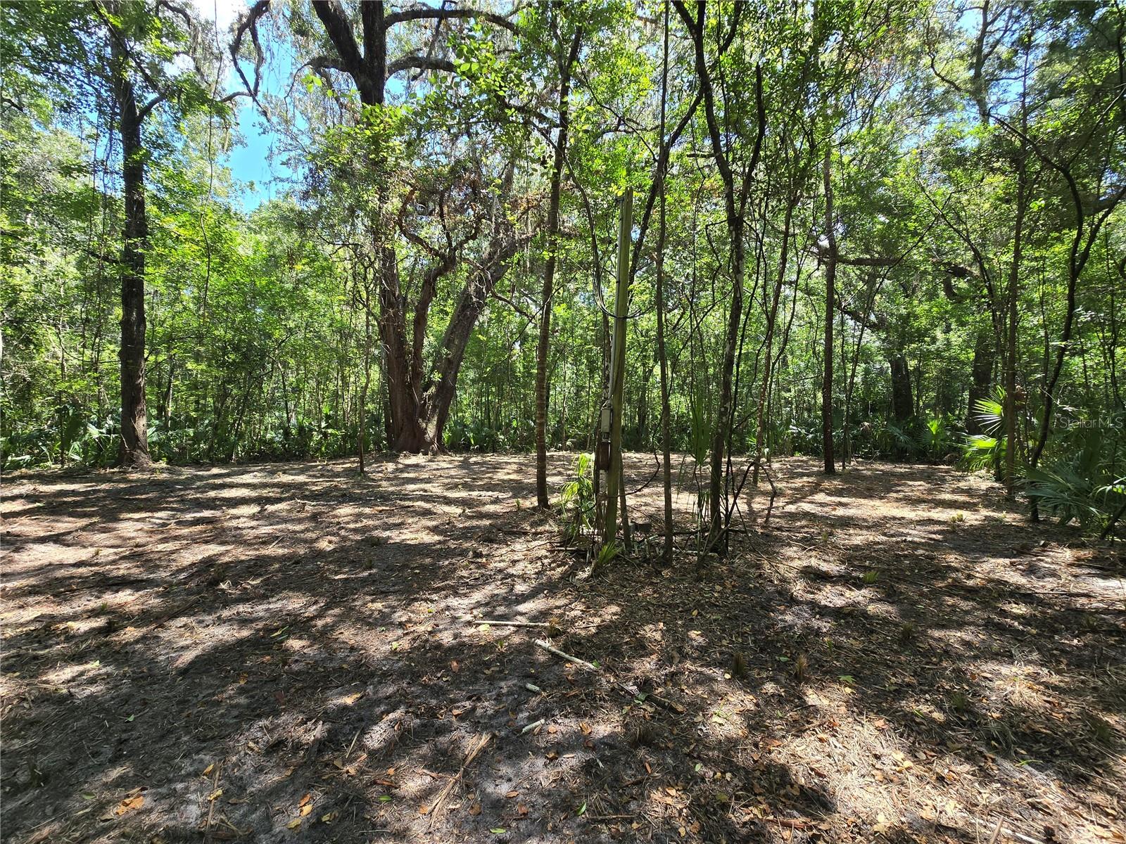 Image 21 of 46 For 2452 Junglecamp Road