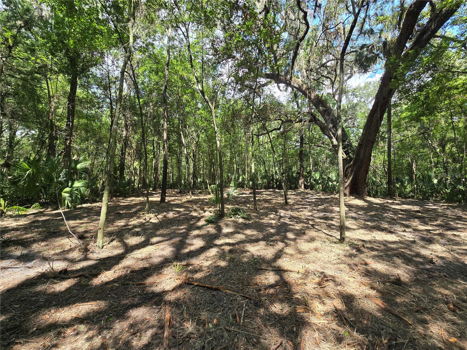 Image 22 of 46 For 2452 Junglecamp Road