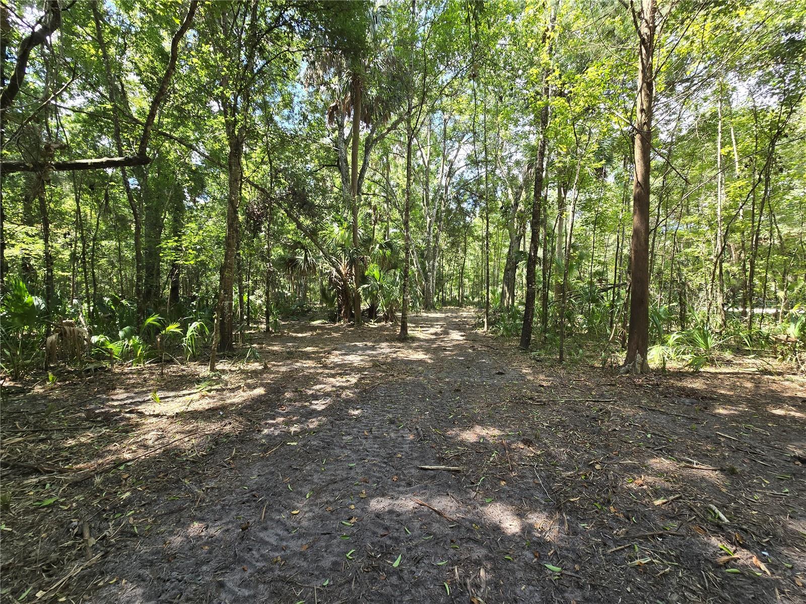 Image 24 of 46 For 2452 Junglecamp Road