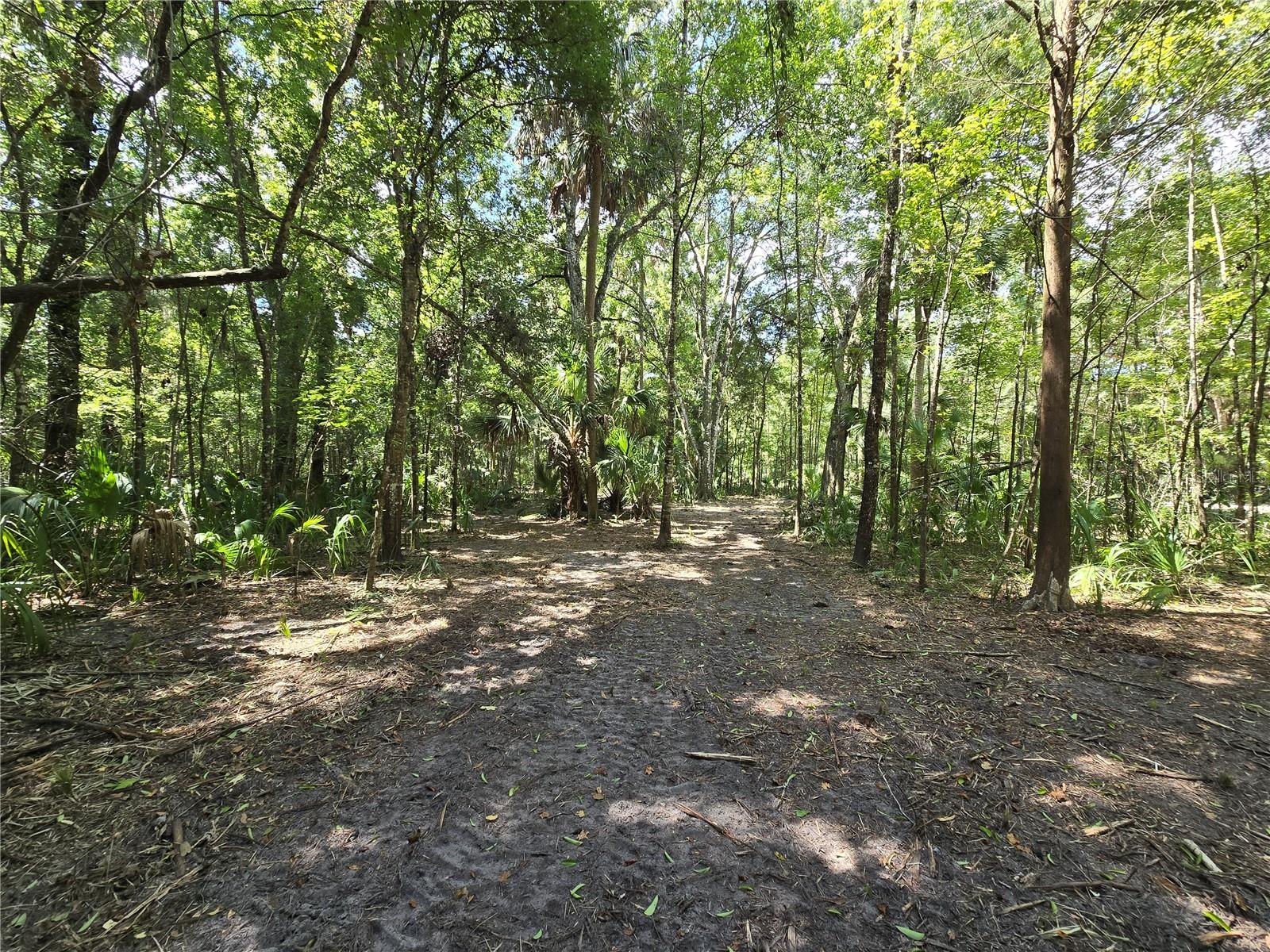 Image 25 of 46 For 2452 Junglecamp Road