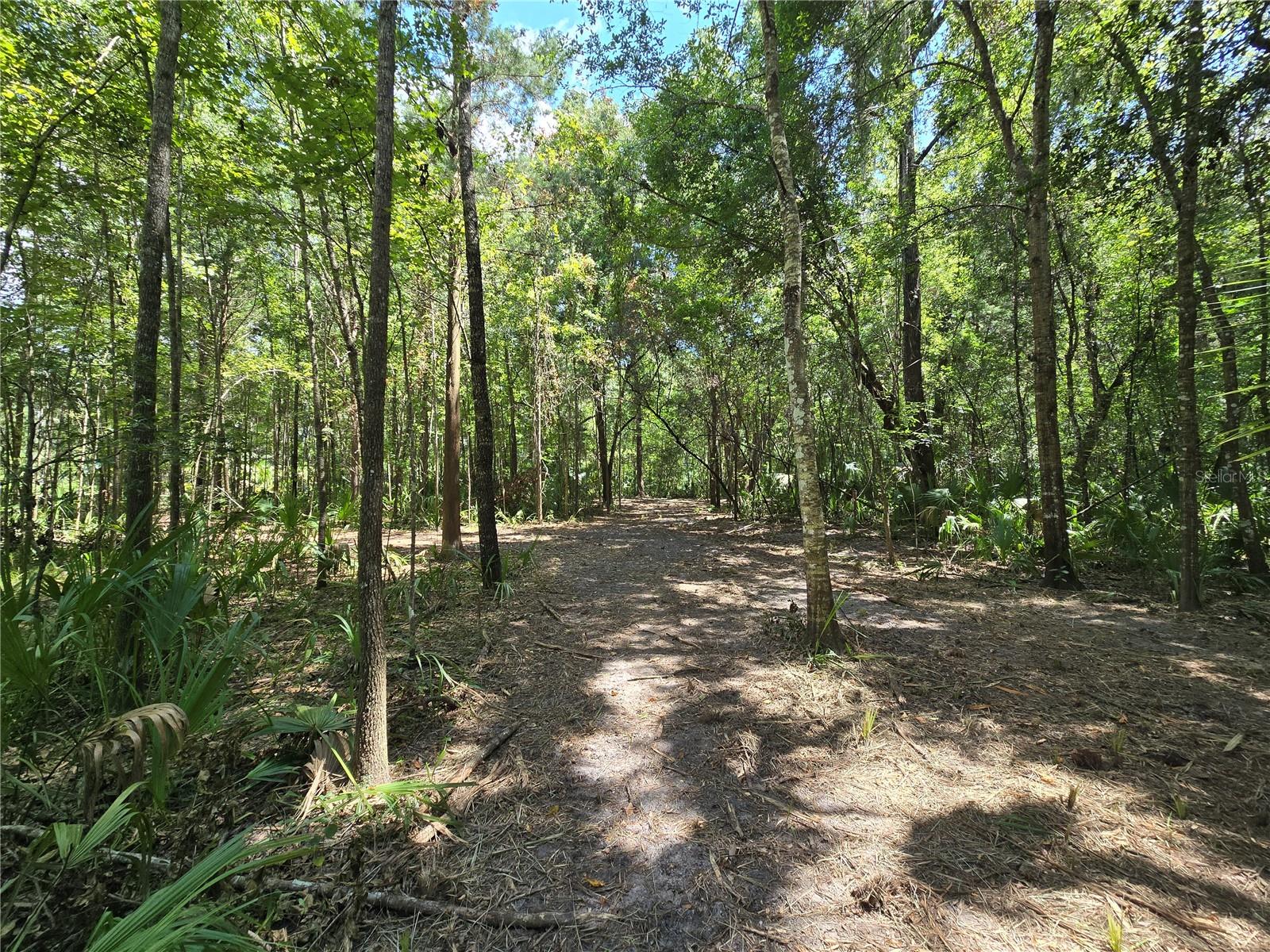 Image 26 of 46 For 2452 Junglecamp Road