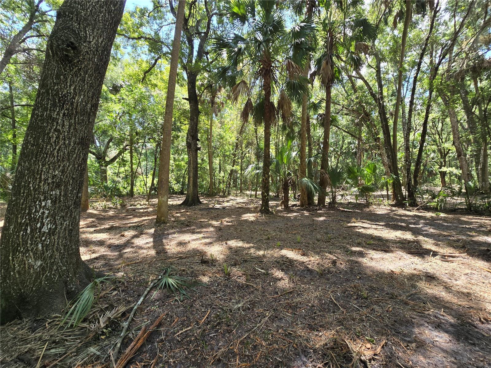 Image 27 of 46 For 2452 Junglecamp Road