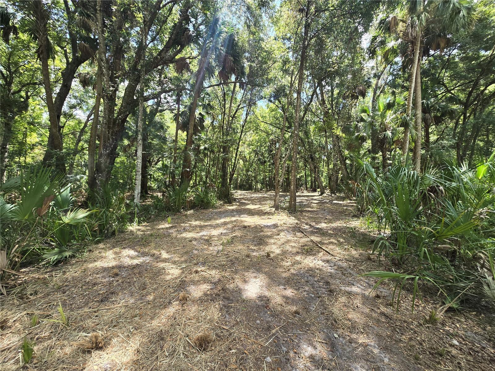 Image 29 of 46 For 2452 Junglecamp Road