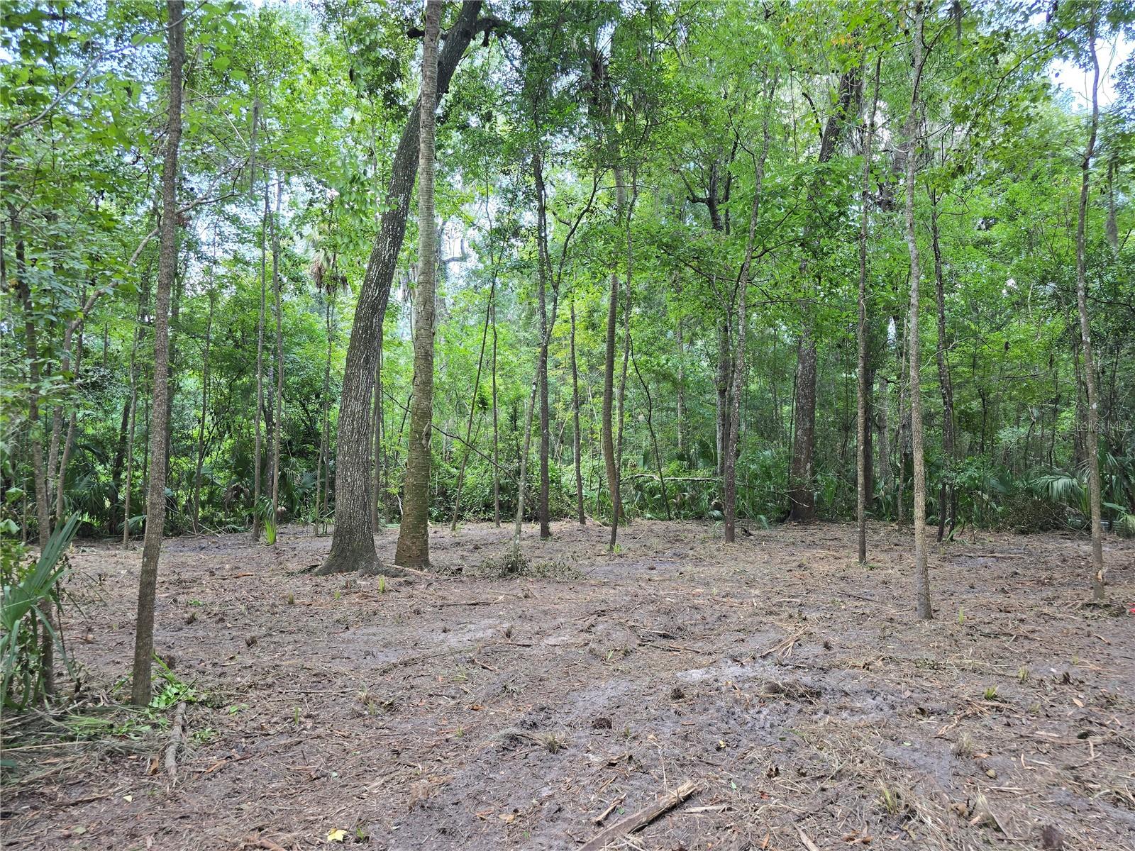 Image 30 of 46 For 2452 Junglecamp Road