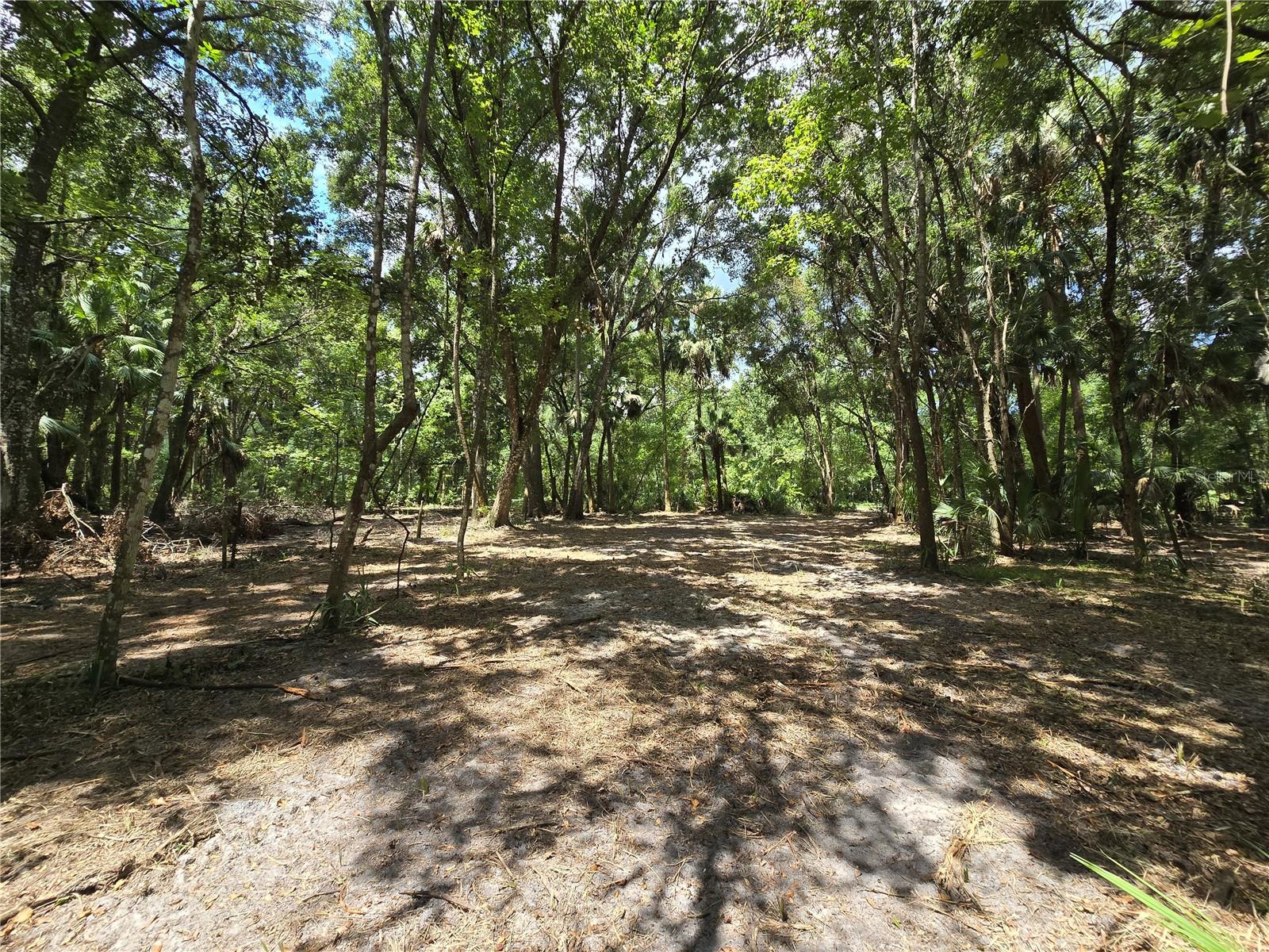 Image 31 of 46 For 2452 Junglecamp Road