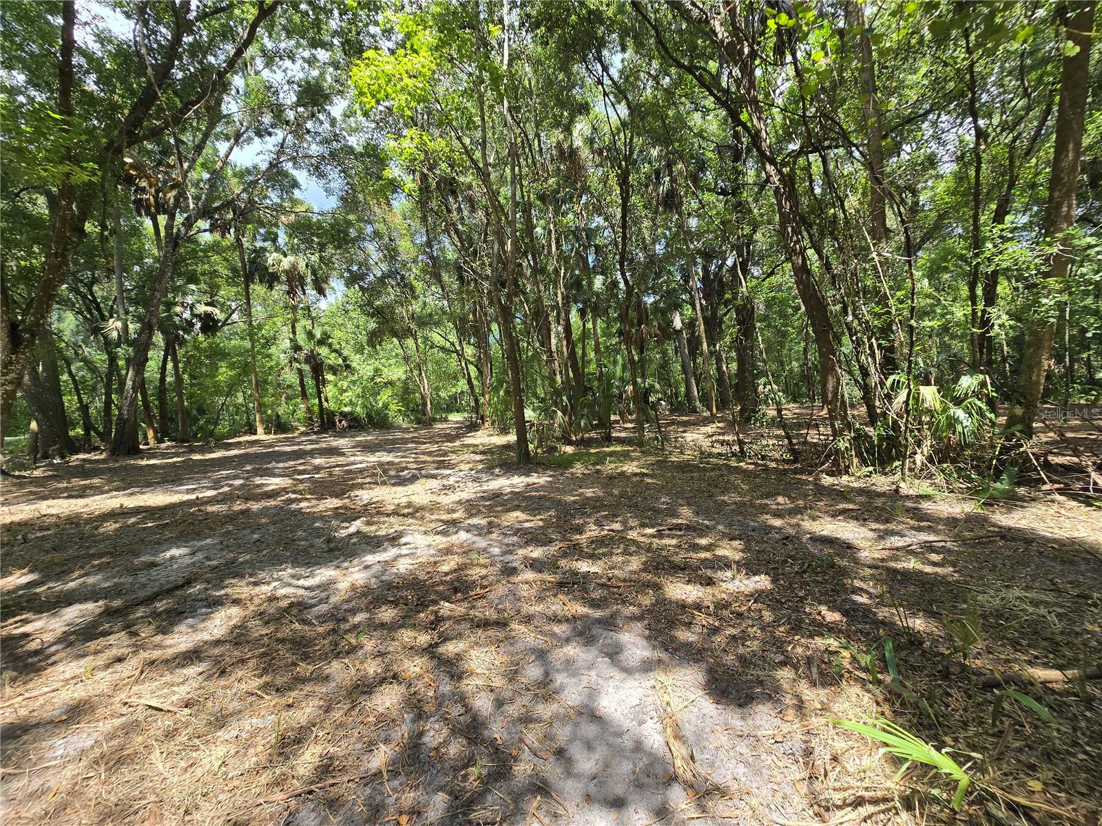 Image 32 of 46 For 2452 Junglecamp Road