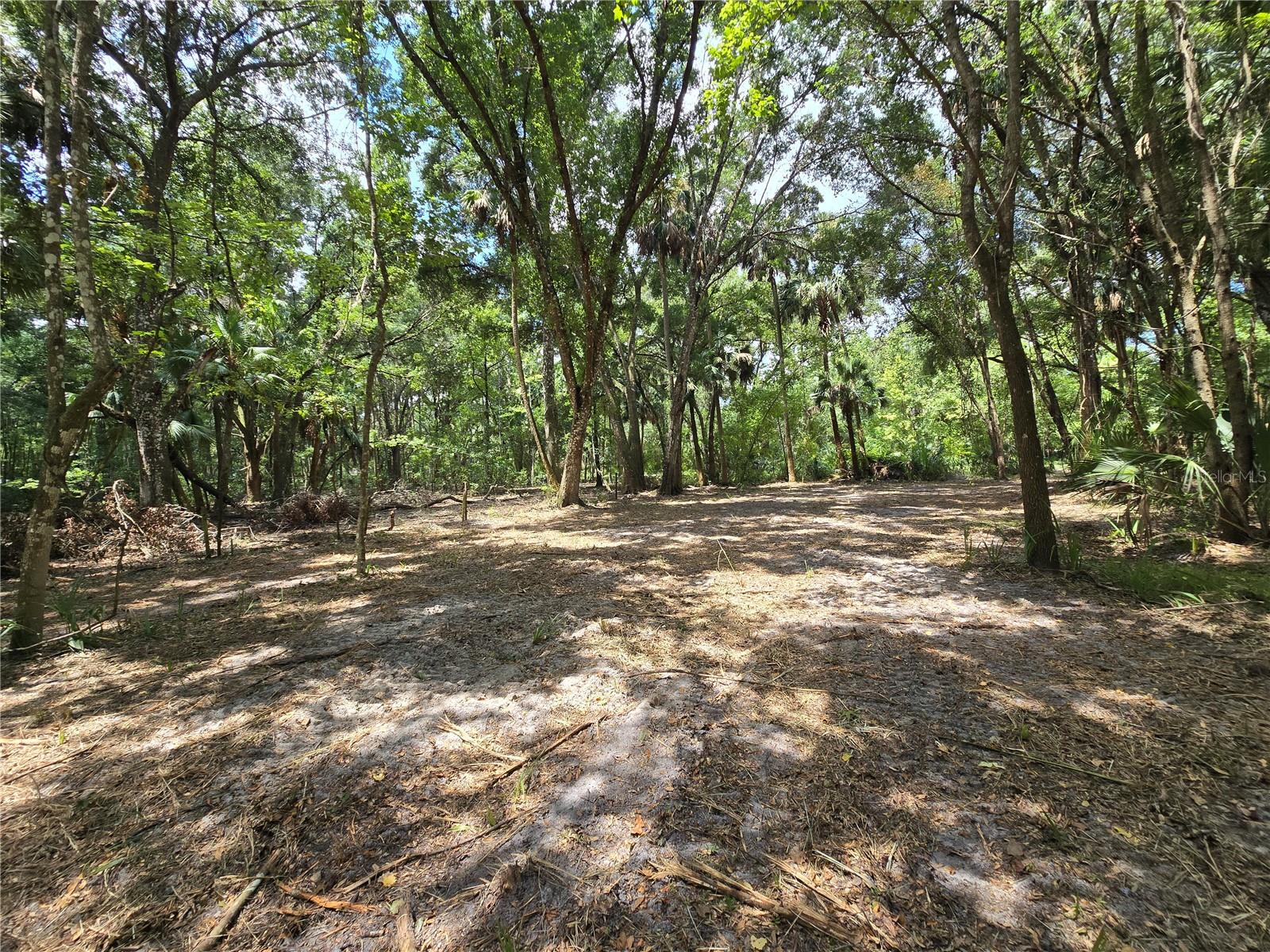 Image 33 of 46 For 2452 Junglecamp Road