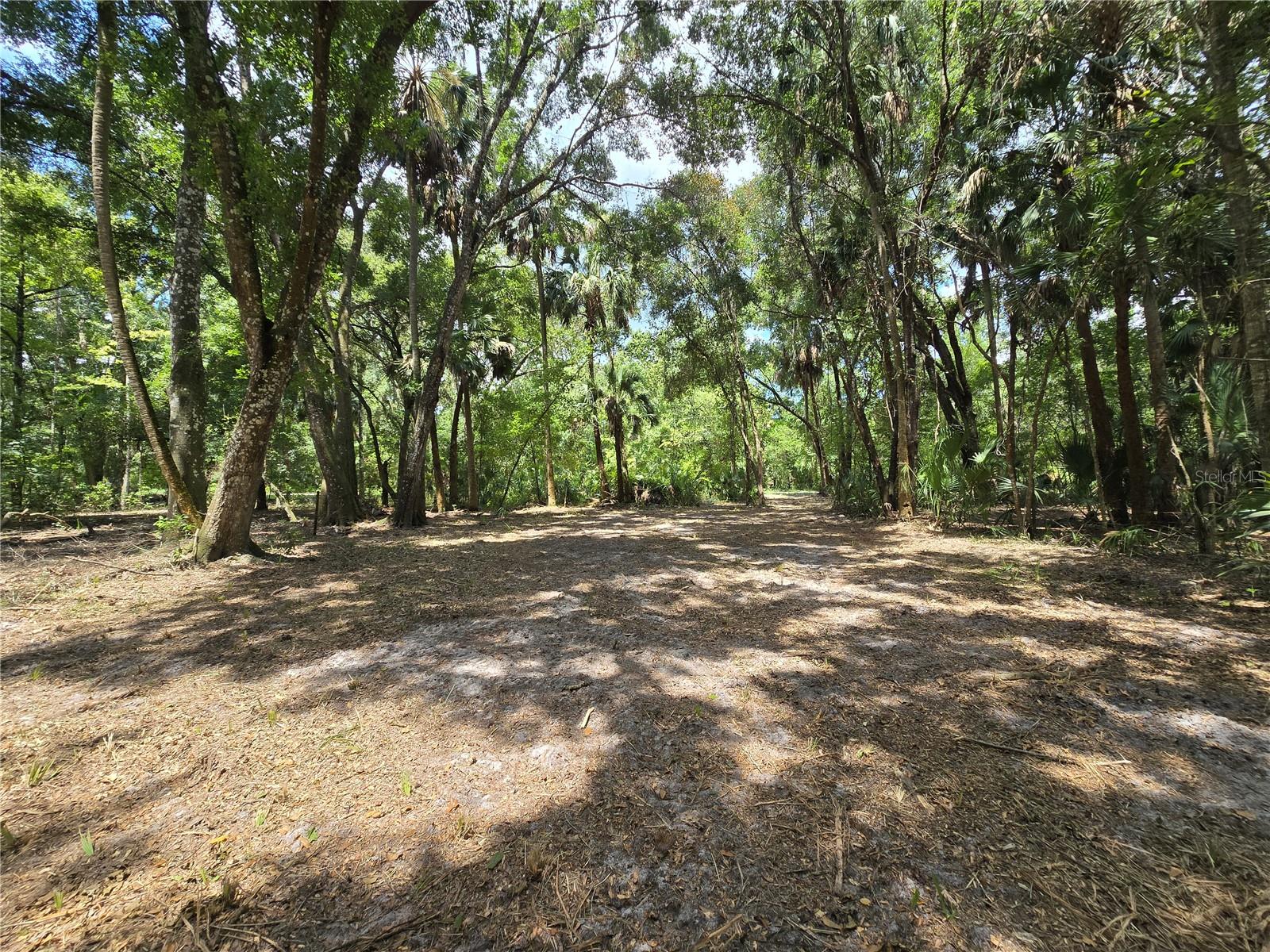 Image 34 of 46 For 2452 Junglecamp Road