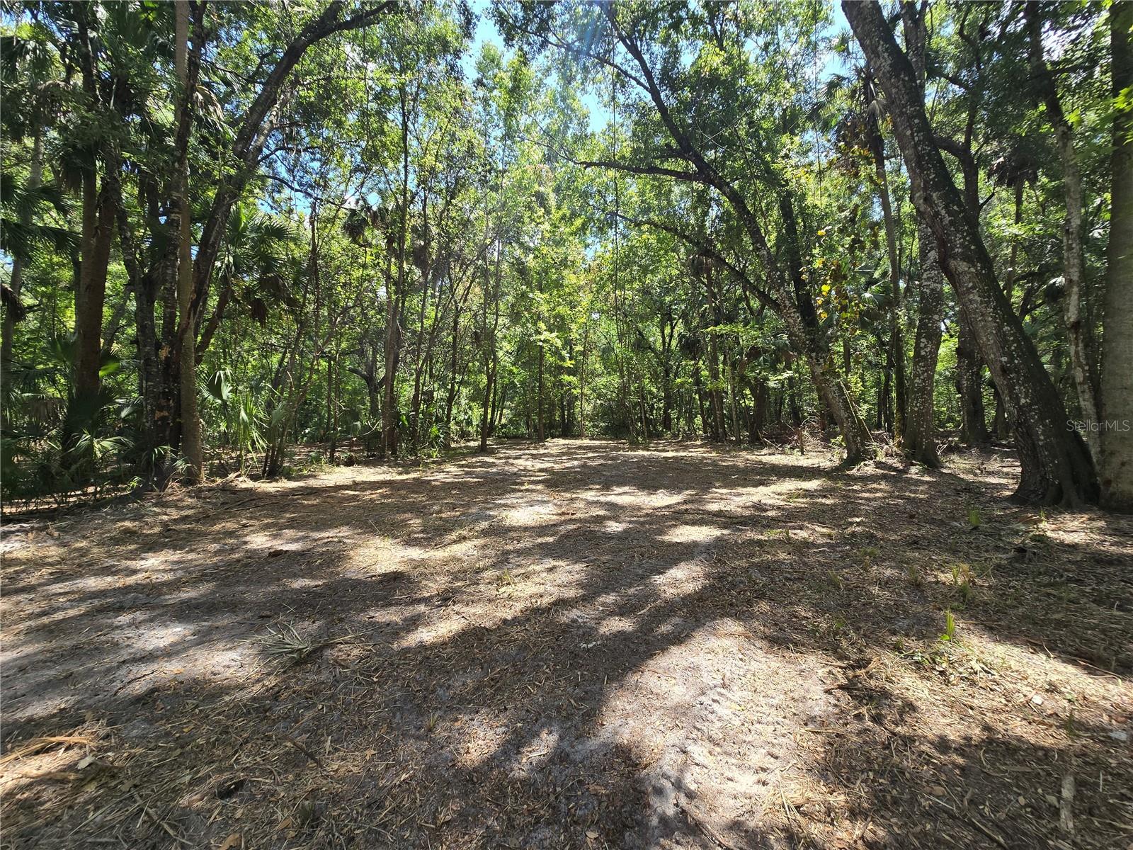 Image 35 of 46 For 2452 Junglecamp Road