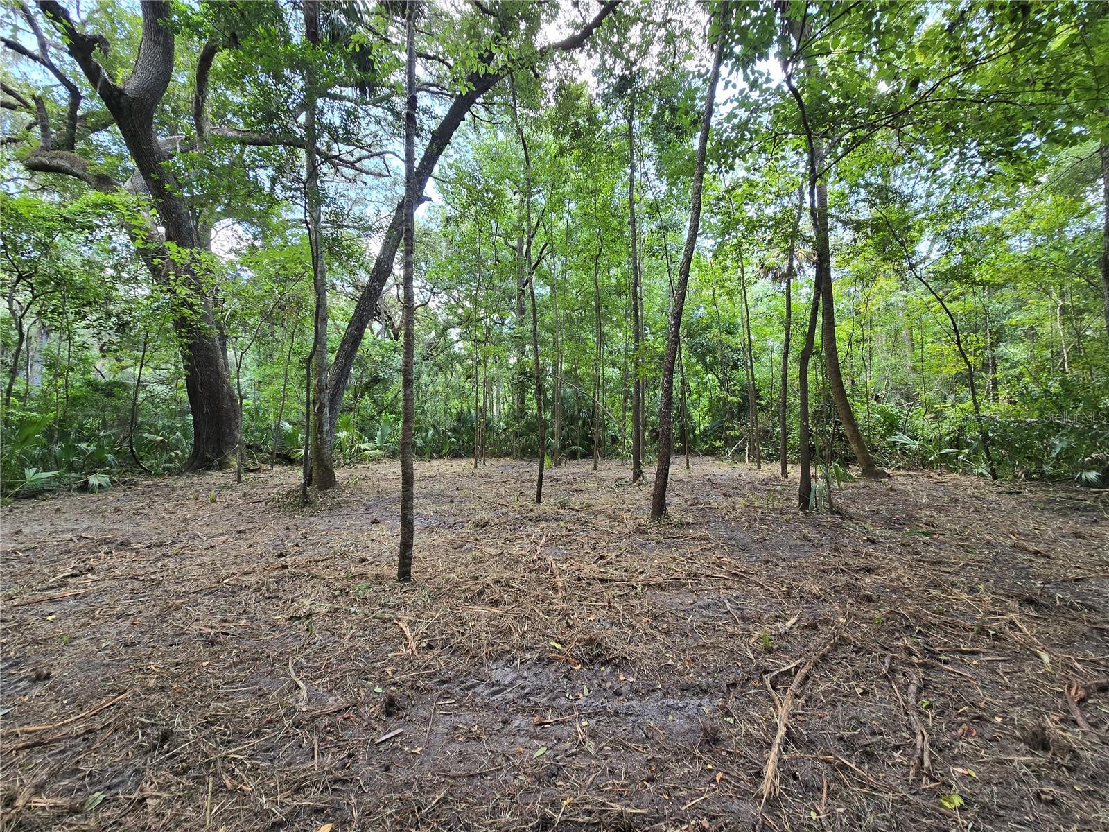 Image 36 of 46 For 2452 Junglecamp Road