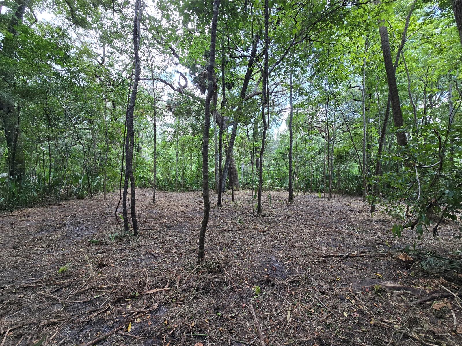 Image 37 of 46 For 2452 Junglecamp Road