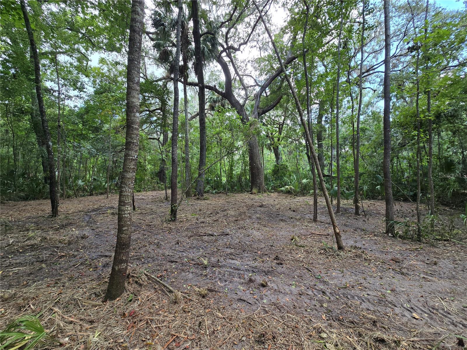 Image 38 of 46 For 2452 Junglecamp Road