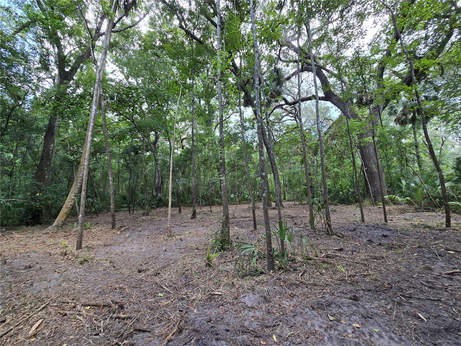 Image 39 of 46 For 2452 Junglecamp Road