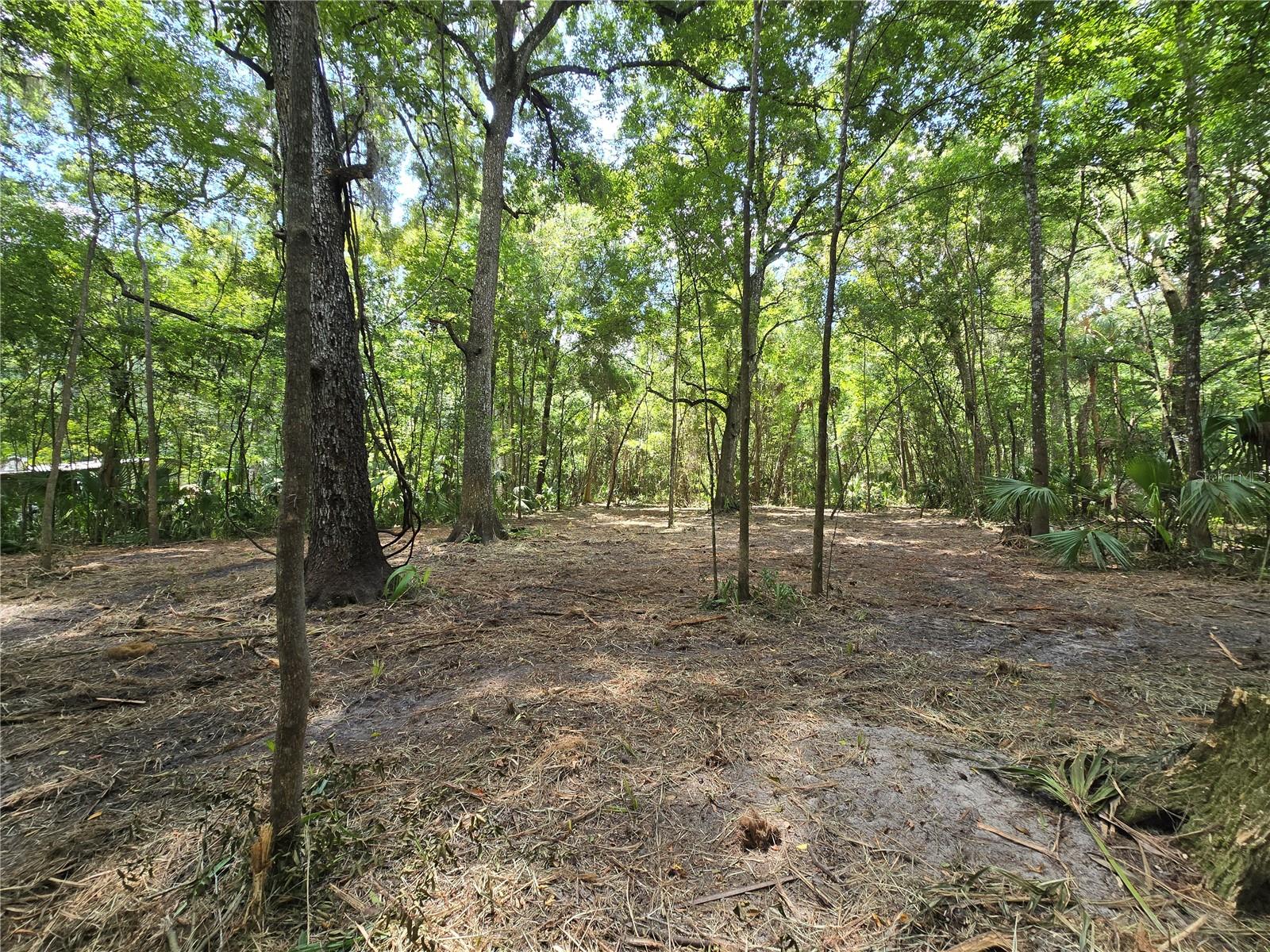 Image 40 of 46 For 2452 Junglecamp Road