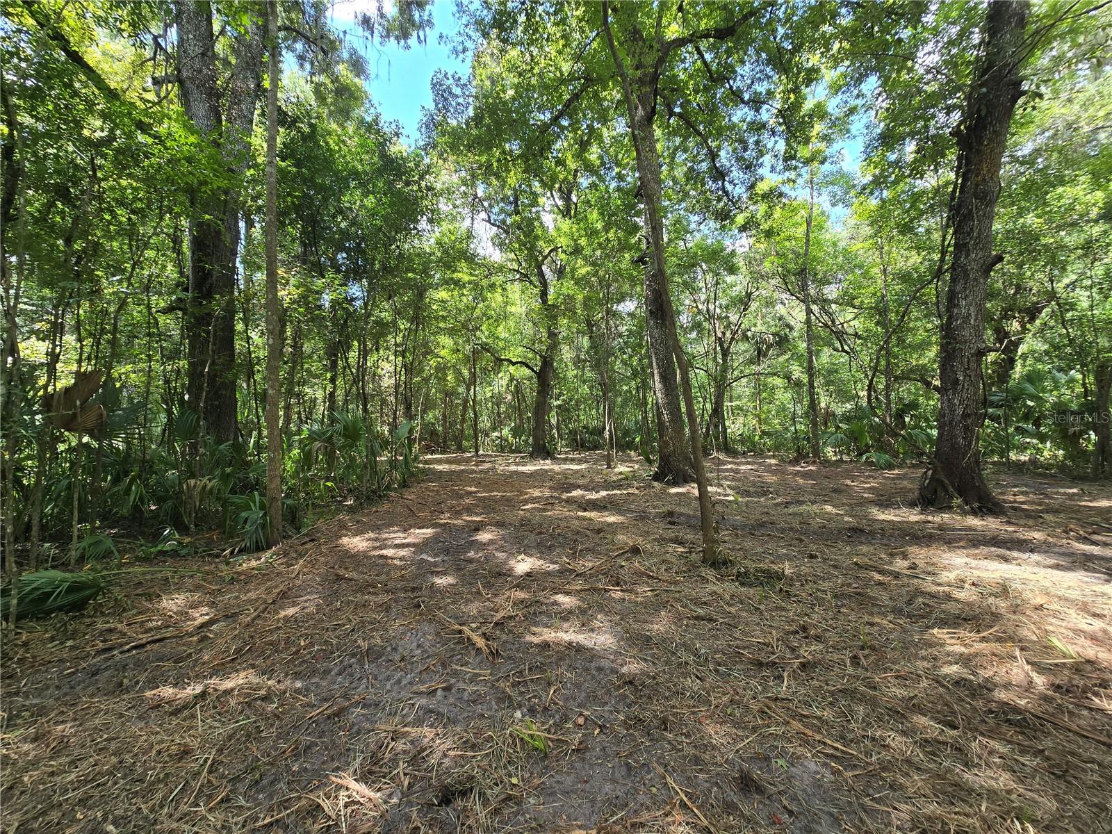 Image 41 of 46 For 2452 Junglecamp Road