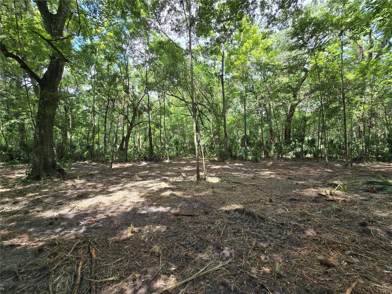 Image 42 of 46 For 2452 Junglecamp Road