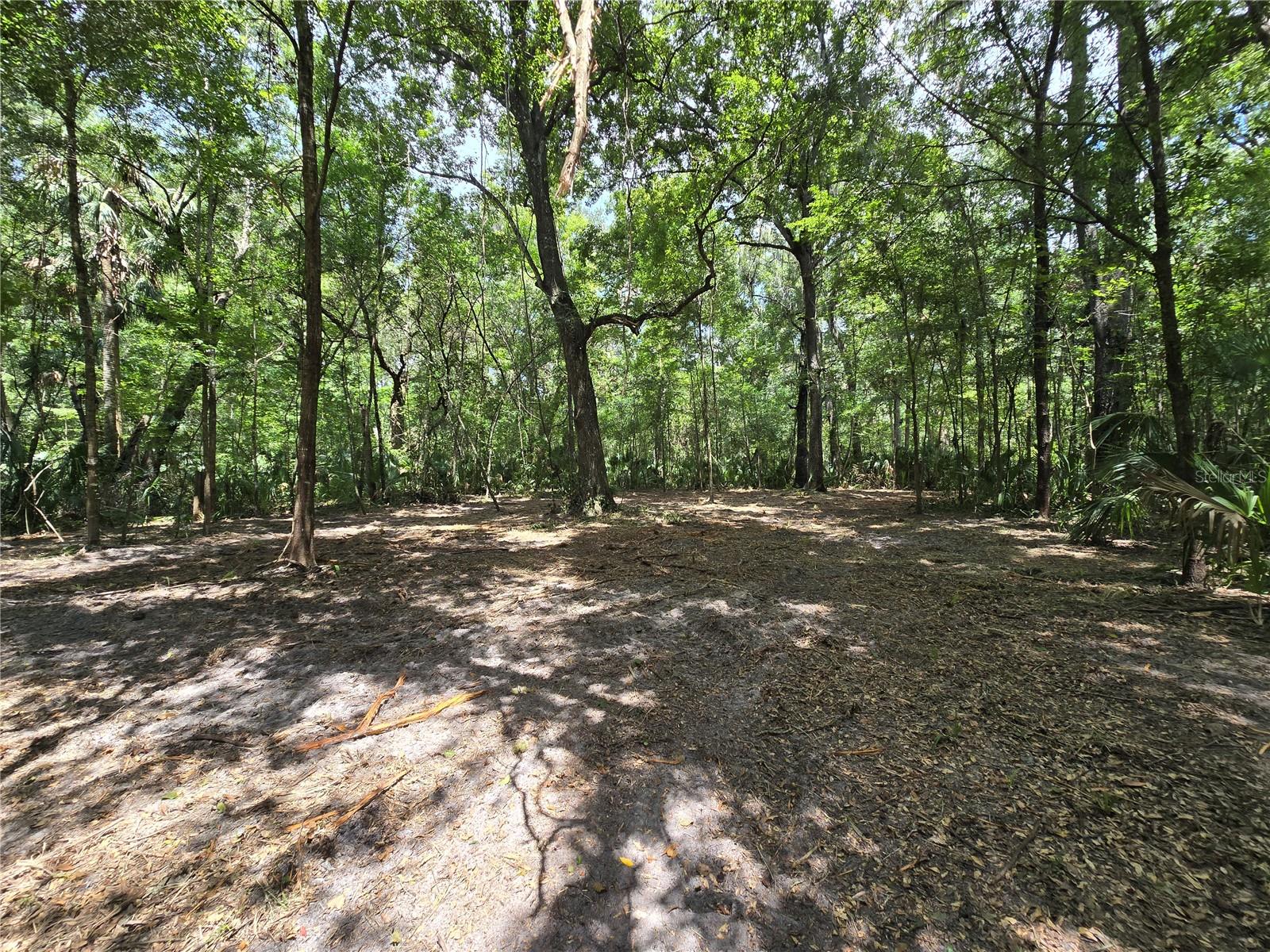 Image 43 of 46 For 2452 Junglecamp Road